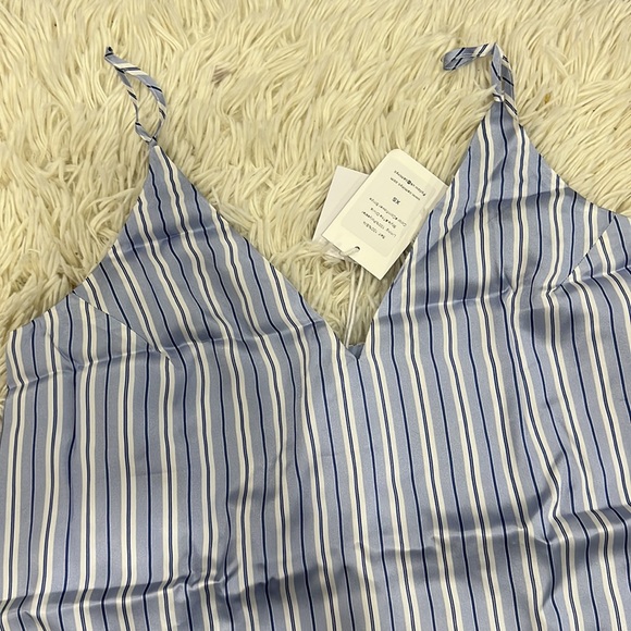 CAMI NYC The Olivia Cami in Cornflower Stripe - Picture 3 of 6